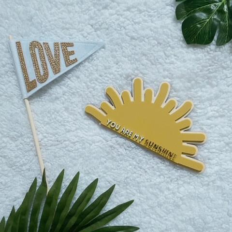 You are my sunshine wall plaque
